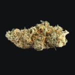 Amnesia Haze Sklep