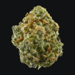 Big bud sklep