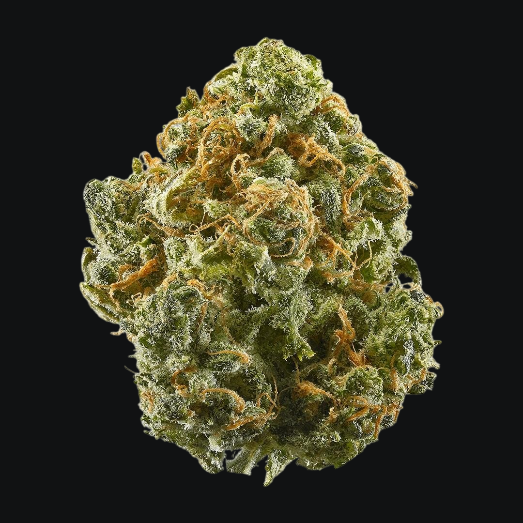 Big Bud