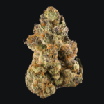 Gelato sklep