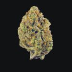 Super Lemon Haze sklep